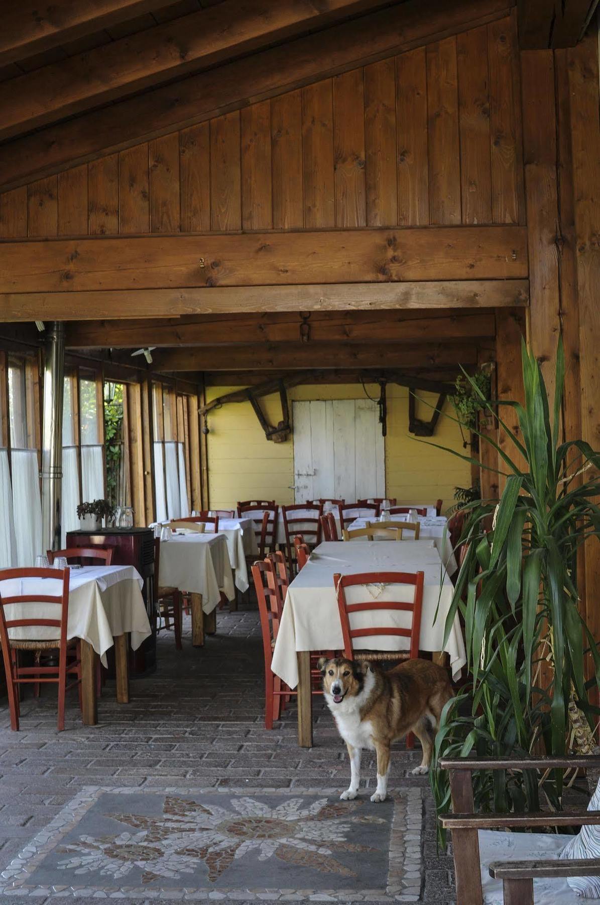 Locanda Merlaschio Faenza Eksteriør bilde
